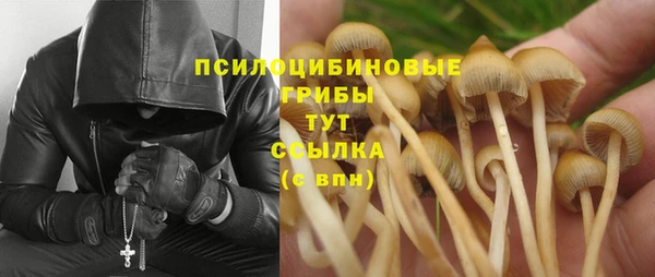 бутират Семёнов