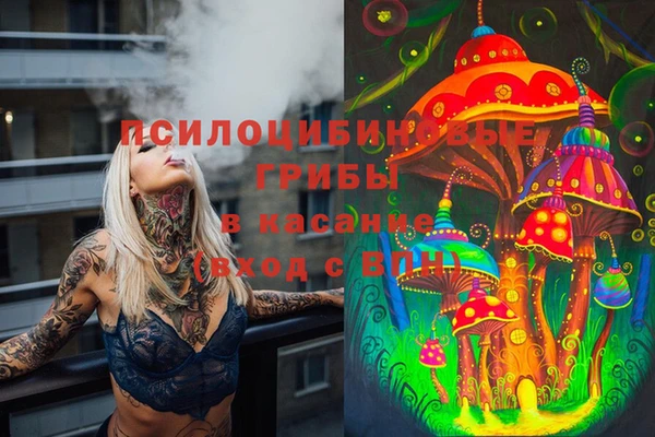 ECSTASY Армянск