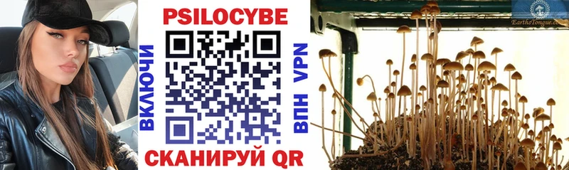 Галлюциногенные грибы прущие грибы  Очёр 